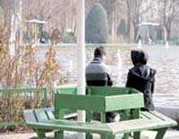 ریش و قیچی به دست جوانان نابلد!