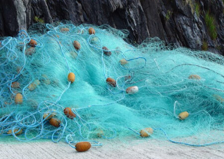 رازهای موفقیت در ماهیگیری: راهنمای خرید تورهای برتر و کاربردی