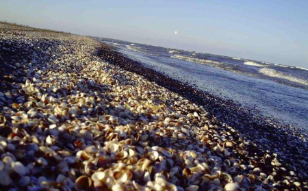 ساحل رامدشت رودسر: جواهری بکر در دل گیلان