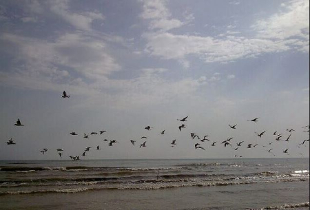 ساحل رامدشت رودسر, جاهای دیدنی رودسر