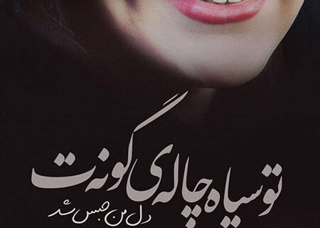 شعر نو درباره چال گونه | مجموعه اشعار عاشقانه و ناب