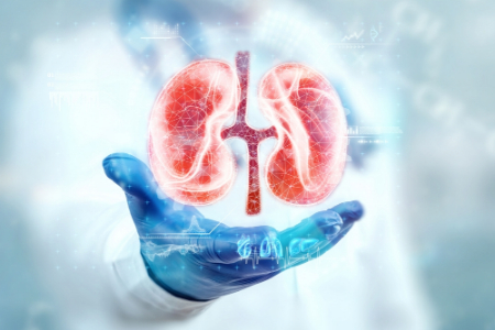 پیشگیری از نارسایی کلیه, سم زدایی کلیه