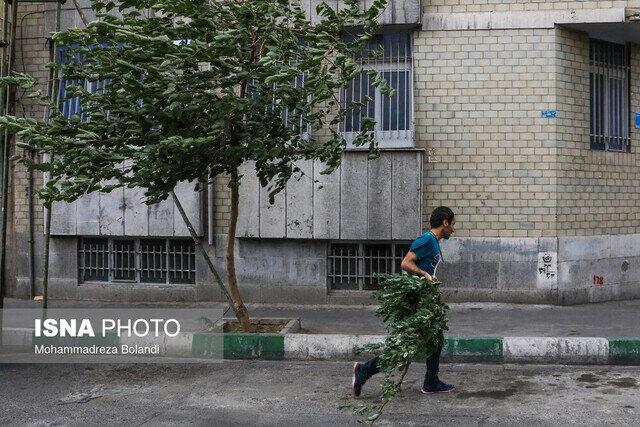 احتمال طوفان در تهران/ رگبار و رعد و برق در برخی مناطق